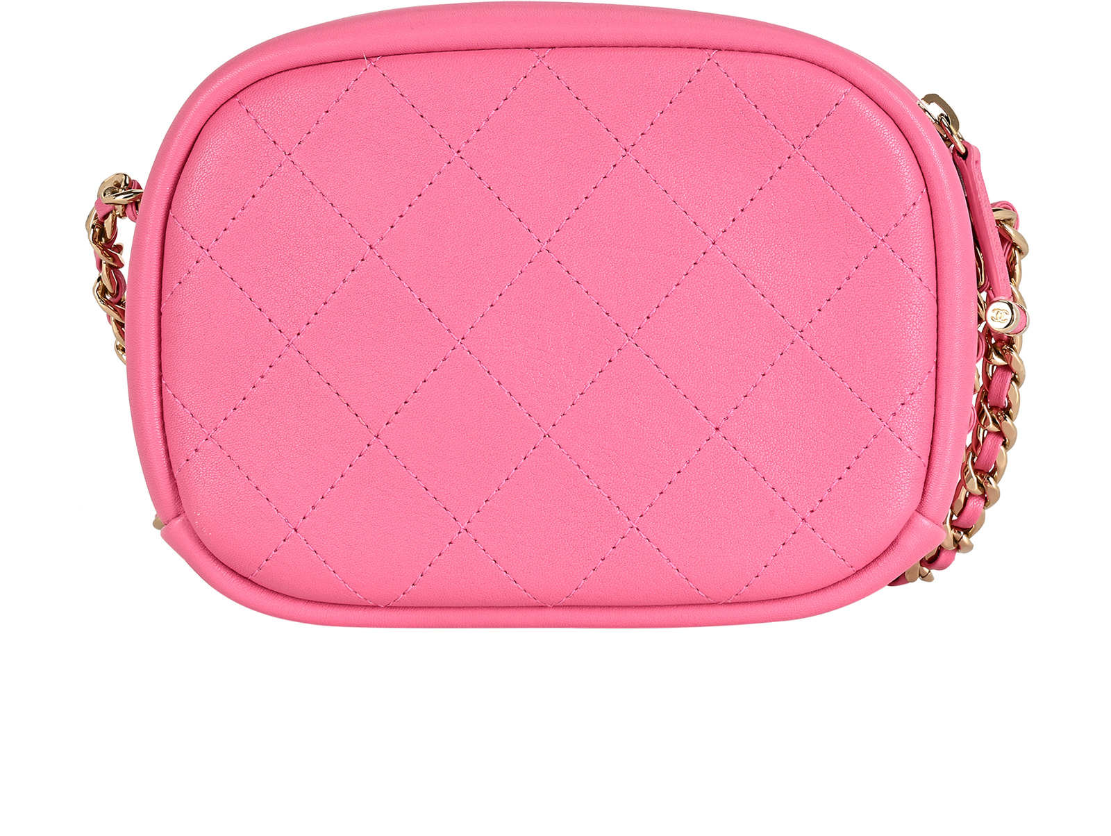 Trip Camera Bag, &pound;1,950, Handbags, Pink, Leather, Back view